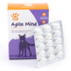 Agile Mind