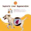 Hepatic Boost