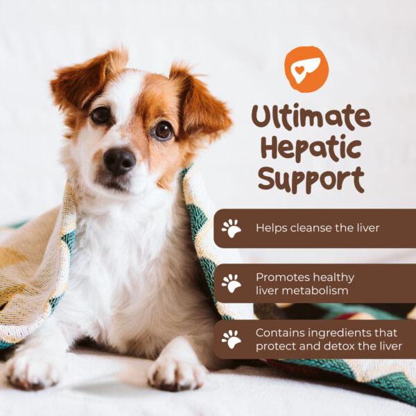 Hepatic Boost