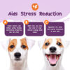 Stress Less