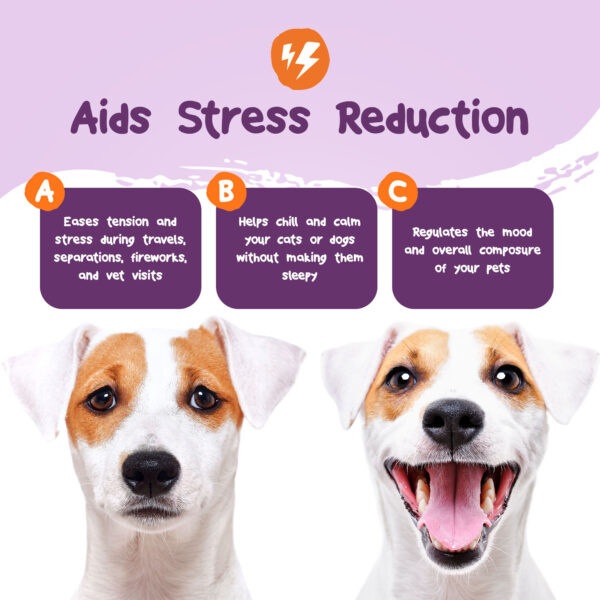 Stress Less