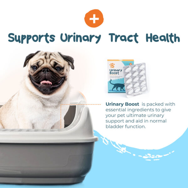 Urinary Boost