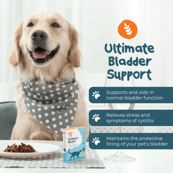 Urinary Boost