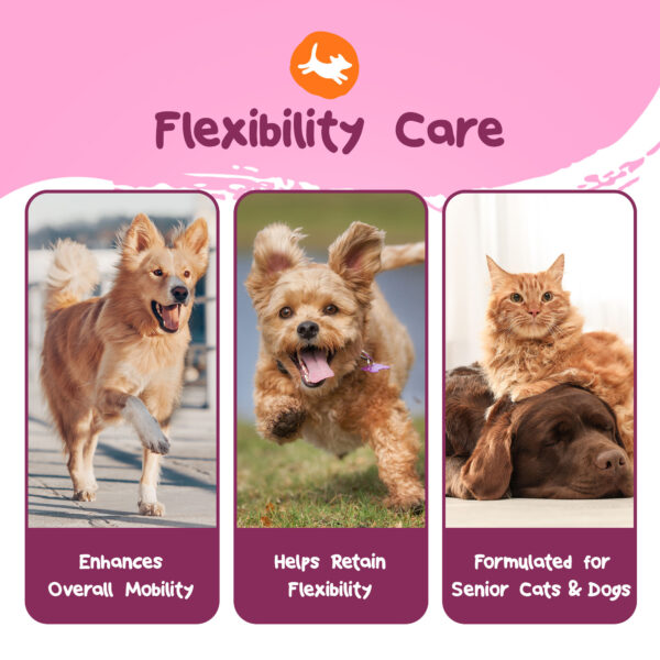 Mobility Boost