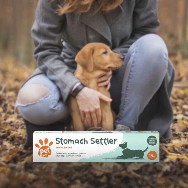 Stomach Settler