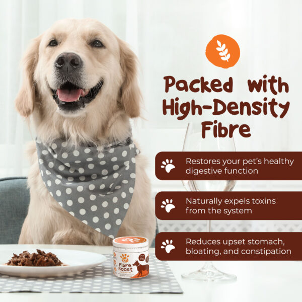 Fibre Boost Subscription