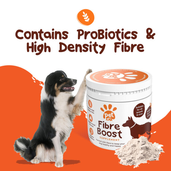 Fibre Boost Subscription