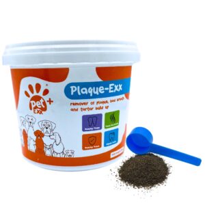PlaqueExx