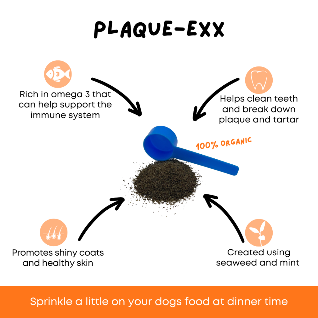 Plaque-Exx for your dog's dental health