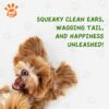 Ear Cleaner