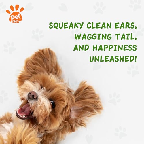 Ear Cleaner