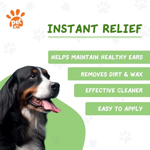 Ear Cleaner