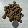 IMG_1573 Goodness Grains dry dog food with Turkey & Rice - small breed adult dog - 10kg