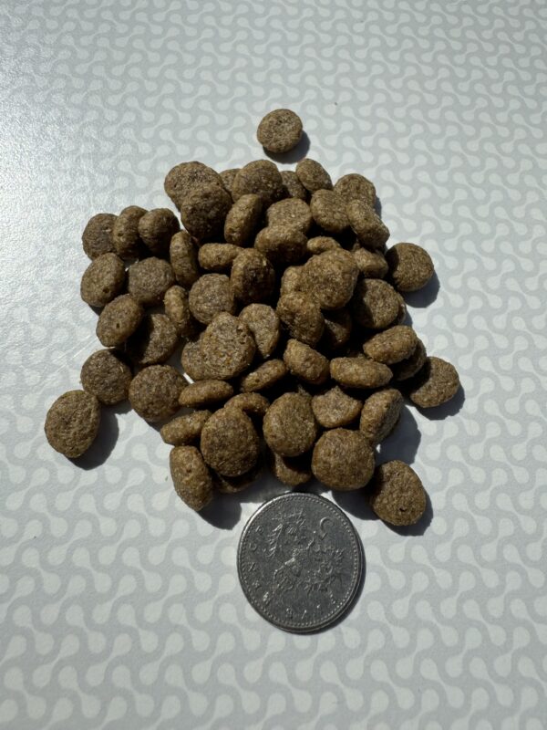 IMG_1573 Goodness Grains dry dog food with Turkey & Rice - small breed adult dog - 10kg