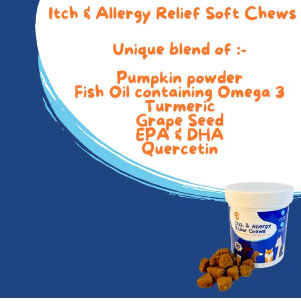 Itch & allergy relief soft chews