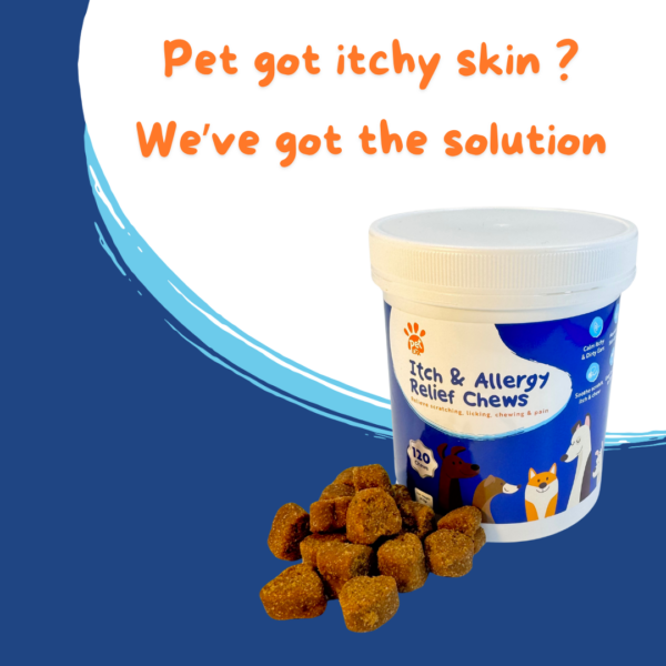 Itch & allergy relief sof chews for dogs