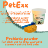 Stomach Settler Probiotic Chews & Powder