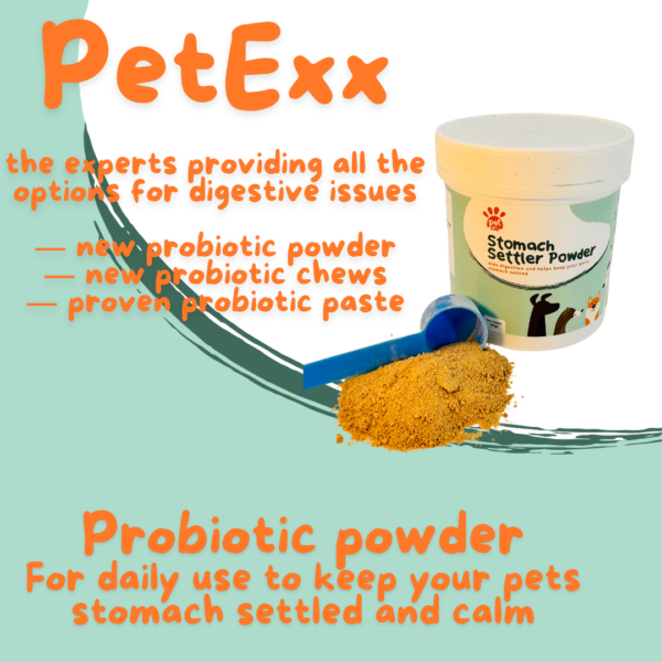 Stomach Settler Probiotic Chews & Powder