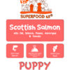SFP Superfood Scottish Salmon With Dill, Spinach, Fennel, Asparagus & Tomato - Puppy