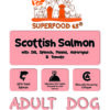 SFS Superfood Scottish Salmon With Dill, Spinach, Fennel, Asparagus & Tomato - Adult Dog
