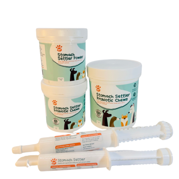 Stomach Settler Probiotic Chews & Powder